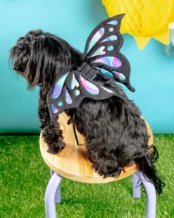 Pet Sale Shop 27 DOGO Adjustable Tie-On Butterfly Wings For Dogs
