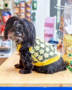 ICECREAMTREE STUDIO Flower Mesh Dog Shirt (Made In The USA)