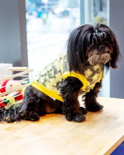 ICECREAMTREE STUDIO Flower Mesh Dog Shirt (Made In The USA) -Pet Sale Shop Dog Co 1C5A7327