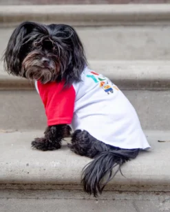 DOG & CO. New York City Dog T-Shirt (Dog & Co. Exclusive) -Pet Sale Shop Dog Co 1C5A7353