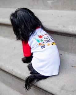 DOG & CO. New York City Dog T-Shirt (Dog & Co. Exclusive) -Pet Sale Shop Dog Co 1C5A7356