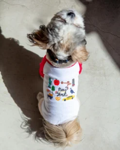 DOG & CO. New York City Dog T-Shirt (Dog & Co. Exclusive) -Pet Sale Shop Dog Co 1C5A7457
