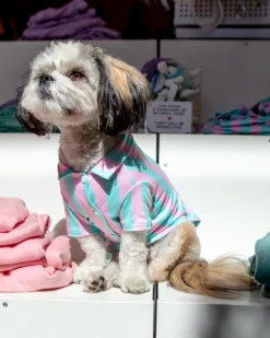 ICECREAMTREE STUDIO Ken-spired Button-Down Dog Shirt (Made In The USA)