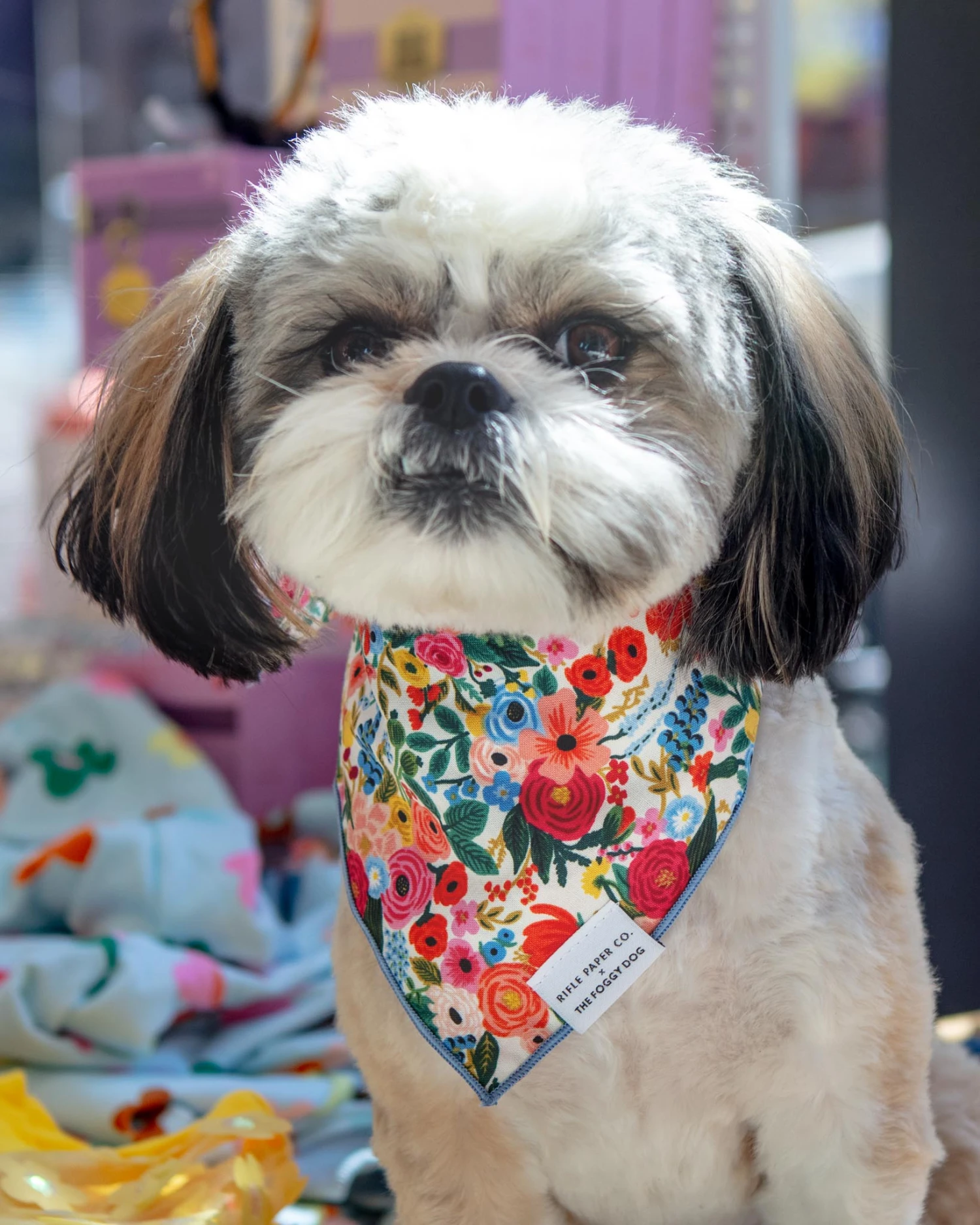 THE FOGGY DOG Rifle Paper Co. X Tfd Garden Party Spring Dog Bandana (Made In The USA) 1 THE FOGGY DOG Rifle Paper Co. X Tfd Garden Party Spring Dog Bandana (Made In The USA)