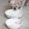 FELT + FAT Ceramic Pet Bowl In Confetti (Made In The USA)