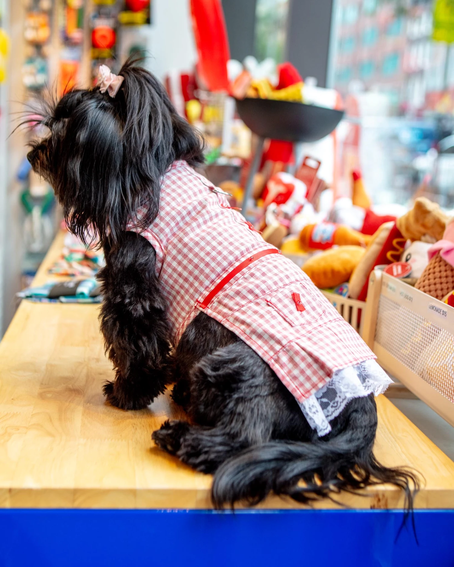 PARISIAN PETS Red Check Picnic Dress For Dogs 3 PARISIAN PETS Red Check Picnic Dress For Dogs - Image 3