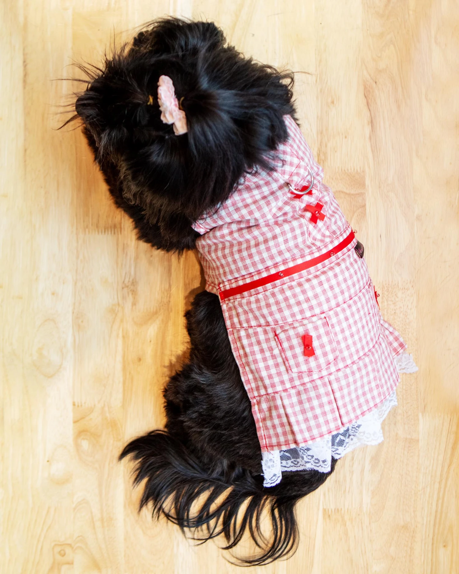 PARISIAN PETS Red Check Picnic Dress For Dogs 4 PARISIAN PETS Red Check Picnic Dress For Dogs - Image 4