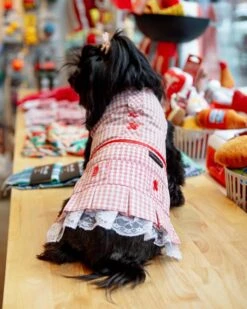 PARISIAN PETS Red Check Picnic Dress For Dogs 9 PARISIAN PETS Red Check Picnic Dress For Dogs -Pet Sale Shop Dog Co 1C5A7822