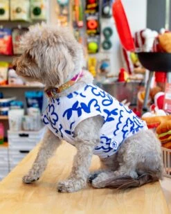 COTE A COTE Blue Scribbles Cooling Dog Tee
