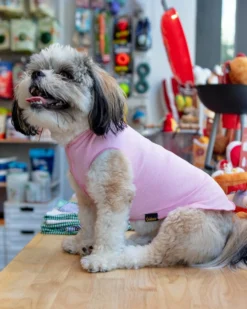 GOLD PAW Sun Shield Tee In Pink Lemonade (Made In The USA)