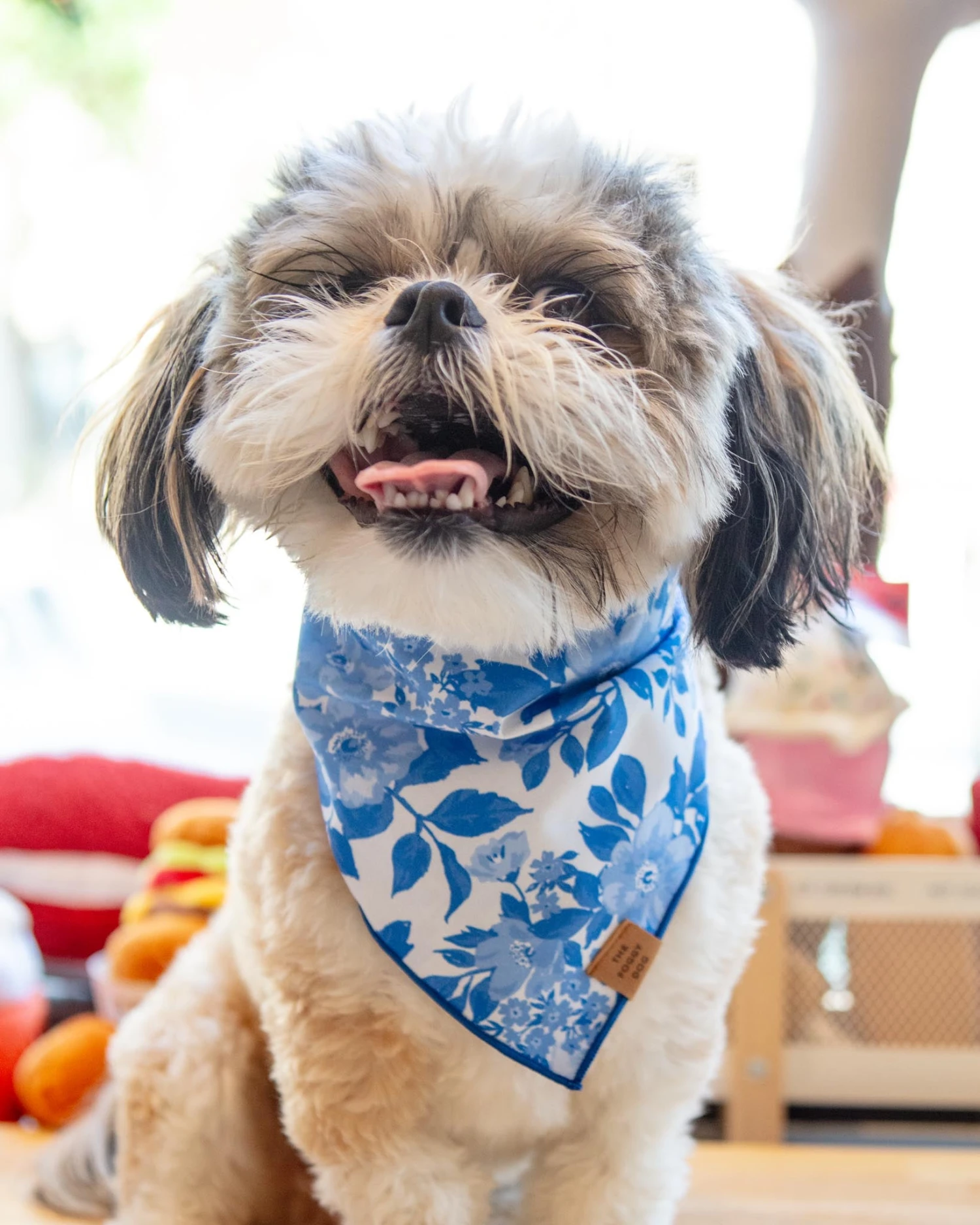 THE FOGGY DOG Blue Roses Spring Dog Bandana (Made In The USA) 1 THE FOGGY DOG Blue Roses Spring Dog Bandana (Made In The USA)