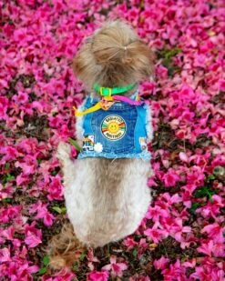 HEADS OR TAILS PUP Sunshine Positivity Denim Dog Harness -Pet Sale Shop Dog Co 1C5A8204