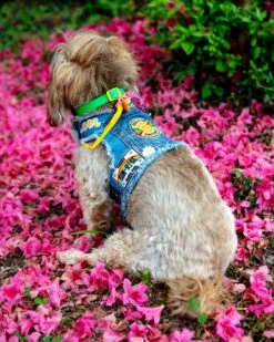 HEADS OR TAILS PUP Sunshine Positivity Denim Dog Harness