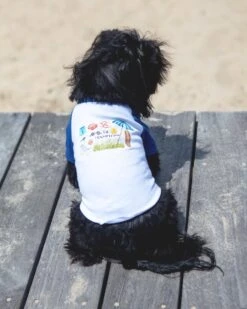 DOG & CO. The Hamptons Summer Dog T-Shirt In Surf Blue (Dog & Co. Exclusive)