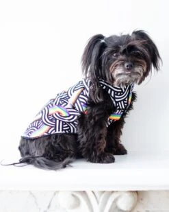 GOLD PAW Sun Shield Tee In Rainbow Pride Print (Made In The USA) 6 GOLD PAW Sun Shield Tee In Rainbow Pride Print (Made In The USA) -Pet Sale Shop Dog Co 1C5A8322