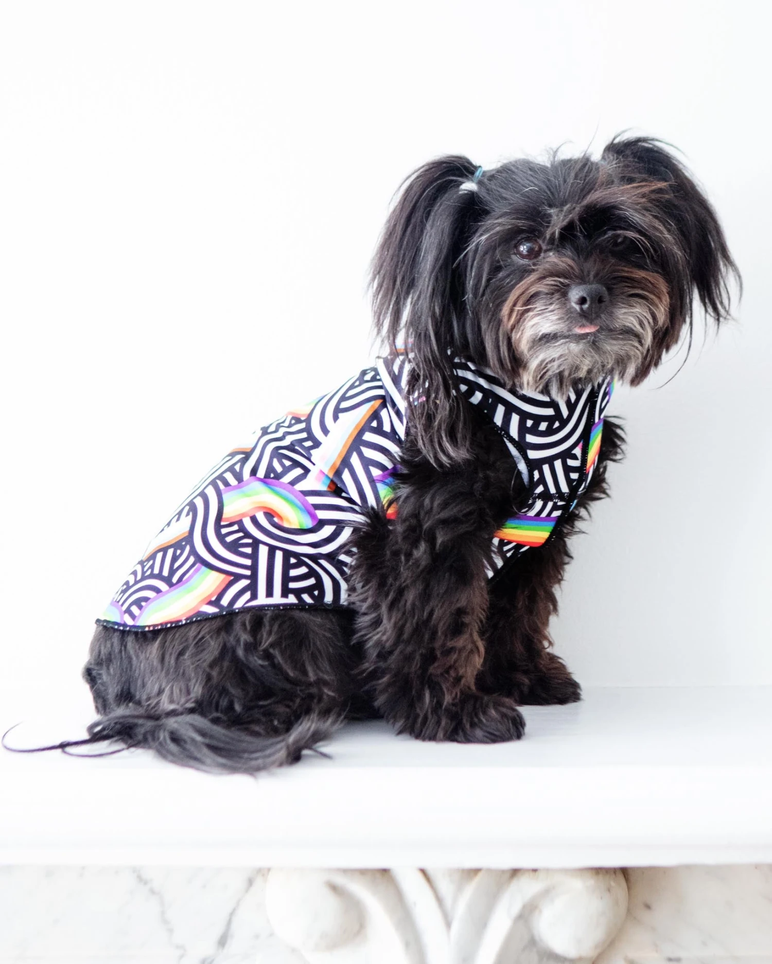 GOLD PAW Sun Shield Tee In Rainbow Pride Print (Made In The USA) 3 GOLD PAW Sun Shield Tee In Rainbow Pride Print (Made In The USA) - Image 3