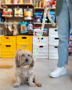 SUSAN ALEXANDRA Broadway Beaded Dog Leash In Matinee (Made In The USA) -Pet Sale Shop Dog Co 1C5A8397