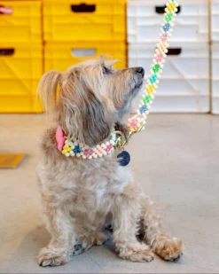 SUSAN ALEXANDRA Broadway Beaded Dog Leash In Matinee (Made In The USA) -Pet Sale Shop Dog Co 1C5A8402