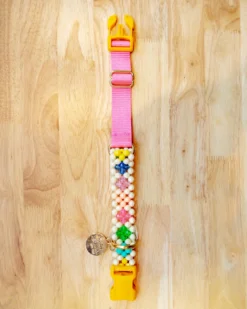 SUSAN ALEXANDRA Broadway Beaded Dog Collar In Matinee (Made In The USA) -Pet Sale Shop Dog Co 1C5A8417