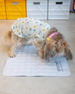 AVANTPET Non-Toxic Pet Cooling Mat (Made In Korea)