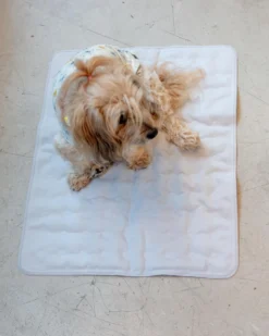 AVANTPET Non-Toxic Pet Cooling Mat (Made In Korea) -Pet Sale Shop Dog Co 1C5A8430