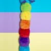 PETSHOP Don't Bug Me Rainbow CaterpillarSqueaky Plush Dog Toy