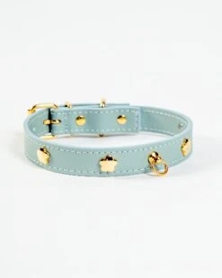 BRANNI Sky Blue Nara Leather Dog Collar With Brass Flowers (Made In Italy)