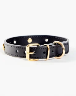 BRANNI Black Nara Leather Dog Collar With Brass Stars (Made In Italy) -Pet Sale Shop Dog Co 1C5A8513