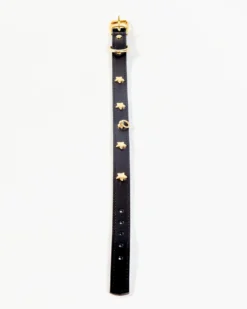 BRANNI Black Nara Leather Dog Collar With Brass Stars (Made In Italy) -Pet Sale Shop Dog Co 1C5A8514