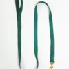 MAJOR DARLING Basic Nylon Dog Leash In Evergreen (Made In The USA)