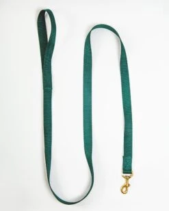 MAJOR DARLING Basic Nylon Dog Leash In Evergreen (Made In The USA)