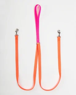 2 HOUNDS For DOG & CO. (Exclusive) Double Clip Training Leash In Hot Pink + Neon Orange (Made In The USA)