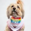 DOG & CO. Love Like A Dog Pride Bandana