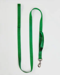2 HOUNDS For DOG & CO. (Exclusive) Nylon Dog Leash In Hunter Green (Made In The USA)