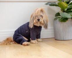 DENTISTS APPOINTMENT Boa Fleece Onesie In Navy (Dog & Co. Exclusive) -Pet Sale Shop Dog Co 1C5A9672