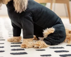 DENTISTS APPOINTMENT Body Warm Onesie In Black (Dog & Co. Exclusive) -Pet Sale Shop Dog Co 1C5A9712