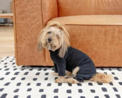 DENTISTS APPOINTMENT Body Warm Onesie In Black (Dog & Co. Exclusive) -Pet Sale Shop Dog Co 1C5A9727