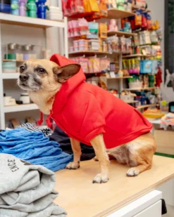 CHLOE AND MAX Lifeguard Dog Hoodie In Red -Pet Sale Shop Dog Co 1C5A9728