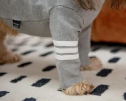 DENTISTS APPOINTMENT Stripe Point Turtleneck In Grey (Dog & Co. Excusive) -Pet Sale Shop Dog Co 1C5A9750