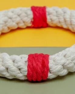 JAX & BONES Lifesaver Rope Dog Toy 7 JAX & BONES Lifesaver Rope Dog Toy -Pet Sale Shop Dog Co 1C5A9754