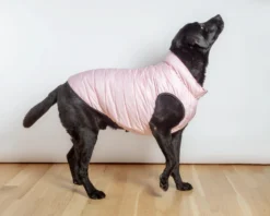 AIRYVEST For DOG & CO. Reversible AiryVest In Strawberry + Blush (DOG & CO. Exclusive) (FINAL SALE) -Pet Sale Shop Dog Co 1C5A9800