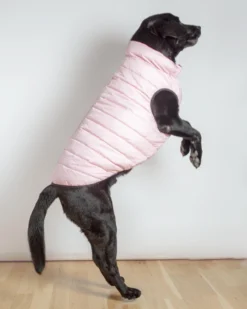 AIRYVEST For DOG & CO. Reversible AiryVest In Strawberry + Blush (DOG & CO. Exclusive) (FINAL SALE) -Pet Sale Shop Dog Co 1C5A9803 e496331a 85c5 45c0 9248 907492ffadb0