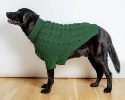 DOG & CO. COLLECTION Downtown Roll Neck Dog Sweater In Evergreen 16 DOG & CO. COLLECTION Downtown Roll Neck Dog Sweater In Evergreen -Pet Sale Shop Dog Co 1C5A9804