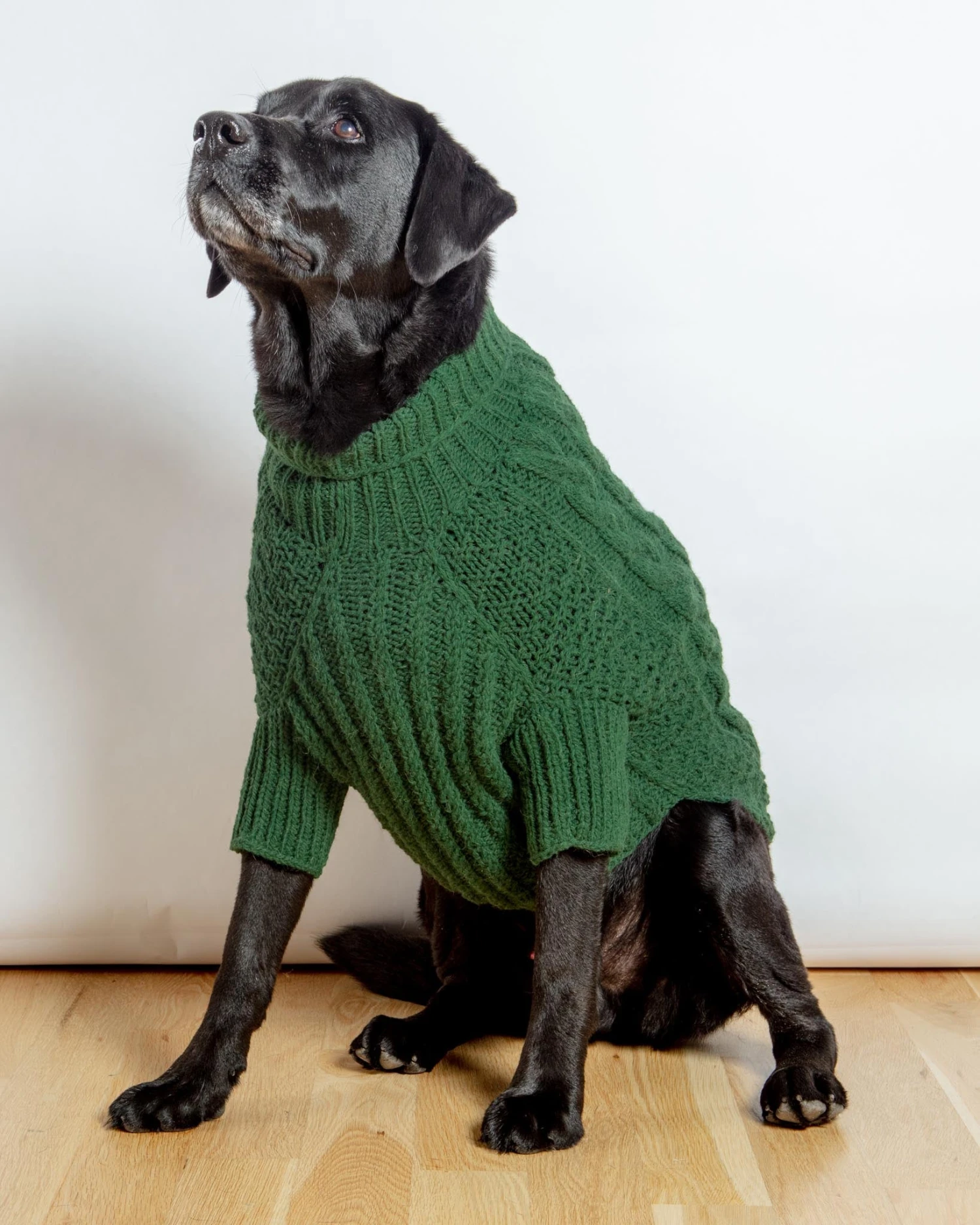 DOG & CO. COLLECTION Downtown Roll Neck Dog Sweater In Evergreen 4 DOG & CO. COLLECTION Downtown Roll Neck Dog Sweater In Evergreen - Image 4