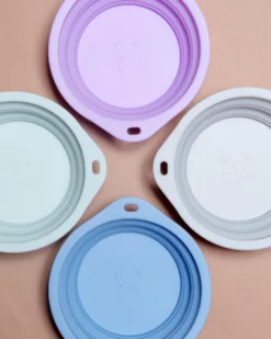 BARKWELL Collapsible Silicone Travel Dog Bowl -Pet Sale Shop Dog Co 1C5A9834