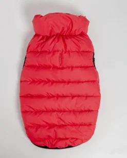 AIRYVEST For DOG & CO. Reversible AiryVest In Strawberry + Blush (DOG & CO. Exclusive) (FINAL SALE) -Pet Sale Shop Dog Co 1C5A9853