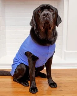GOLD PAW Stretch Fleece Pullover In Cornflower Blue -Pet Sale Shop Dog Co 2218 1
