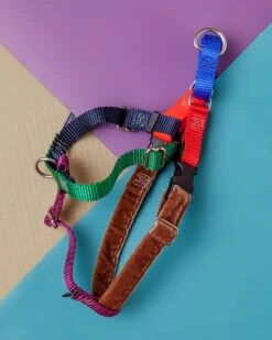 2 Hounds Design Freedom No-Pull Harness In Spice (Made In The USA) -Pet Sale Shop Dog Co 2682