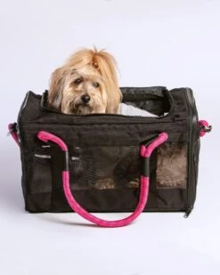 ROVERLUND Out-Of-Office Dog Carrier In Black With Magenta Straps (Direct-Ship)