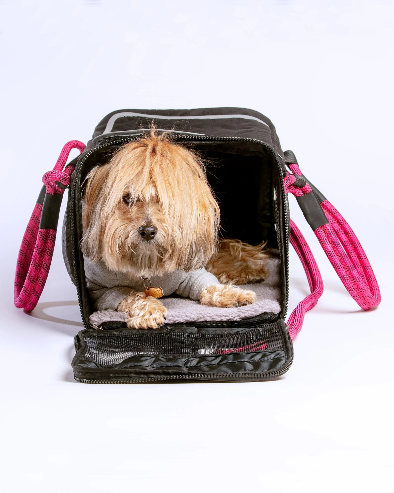 ROVERLUND Out-Of-Office Dog Carrier In Black With Magenta Straps (Direct-Ship) 2 ROVERLUND Out-Of-Office Dog Carrier In Black With Magenta Straps (Direct-Ship) - Image 2